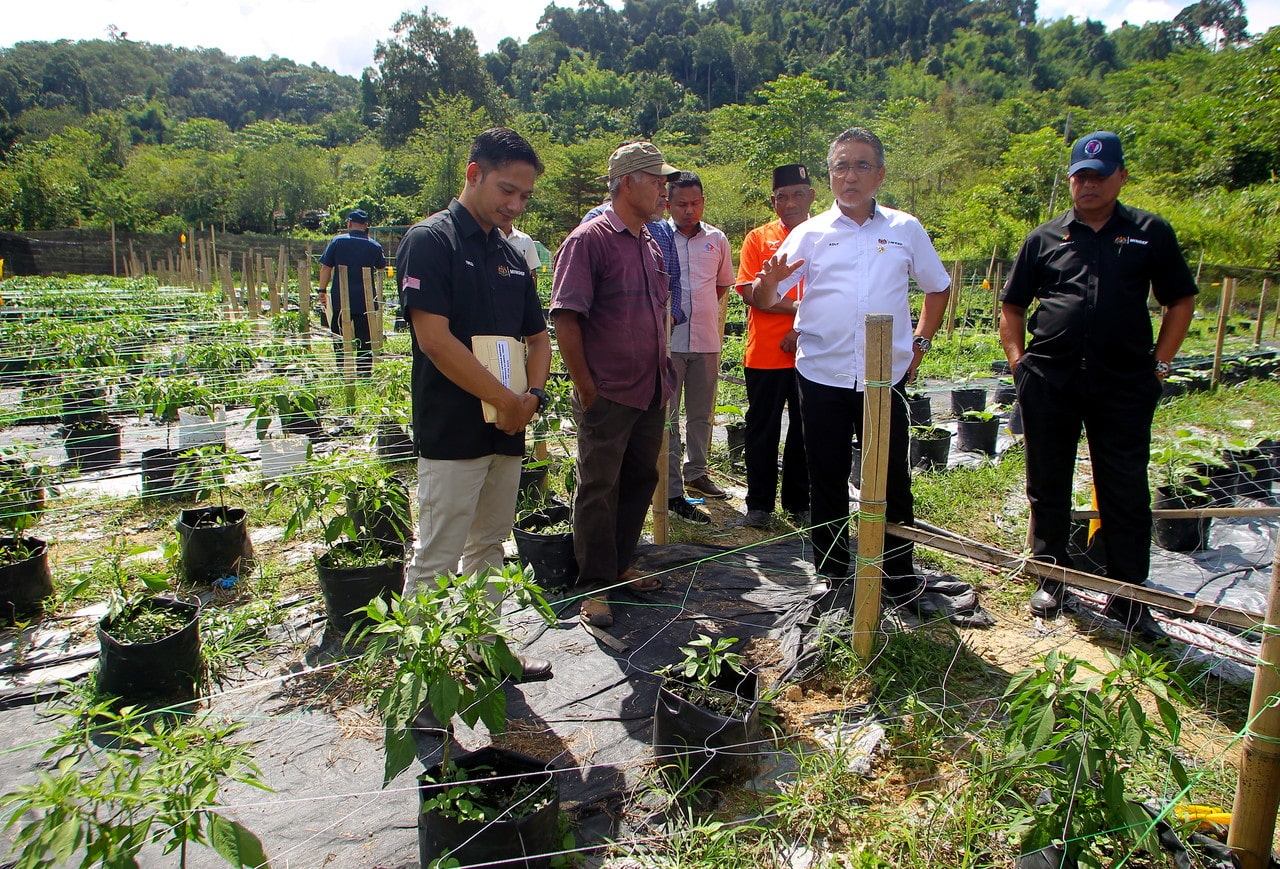 Peduli Veteran prog will continue to be strengthened — Minister