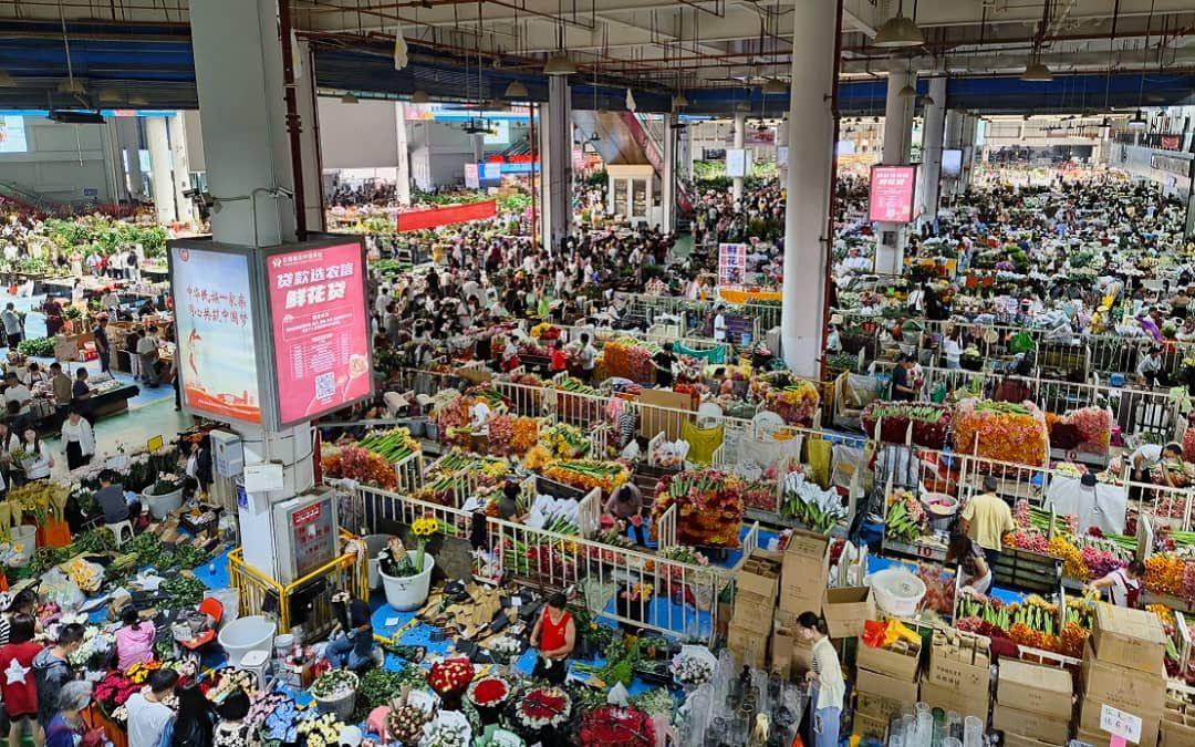 斗南花市重开迎来逾230万游客  60万工作机会逾半归当地人