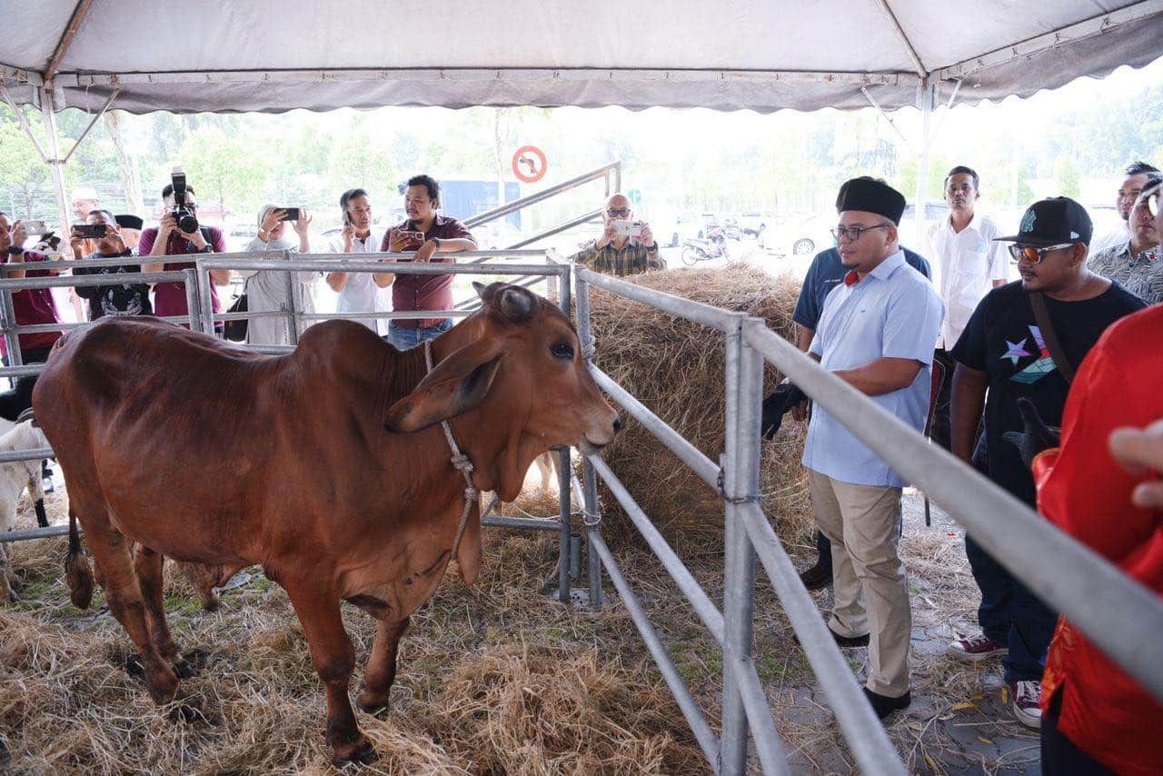 牲畜供应不符条规  雪政府将12供应商列黑名单