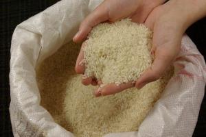 Kualiti beras tempatan setanding dengan import - Mardi