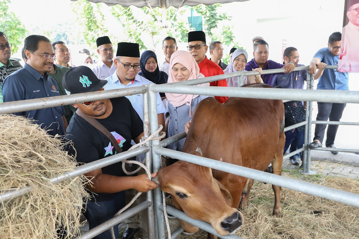 Bekal haiwan korban tidak ikut spesifikasi, 12 pembekal disenarai hitam