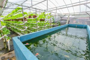 State strengthens high-value agriculture to ensure food security