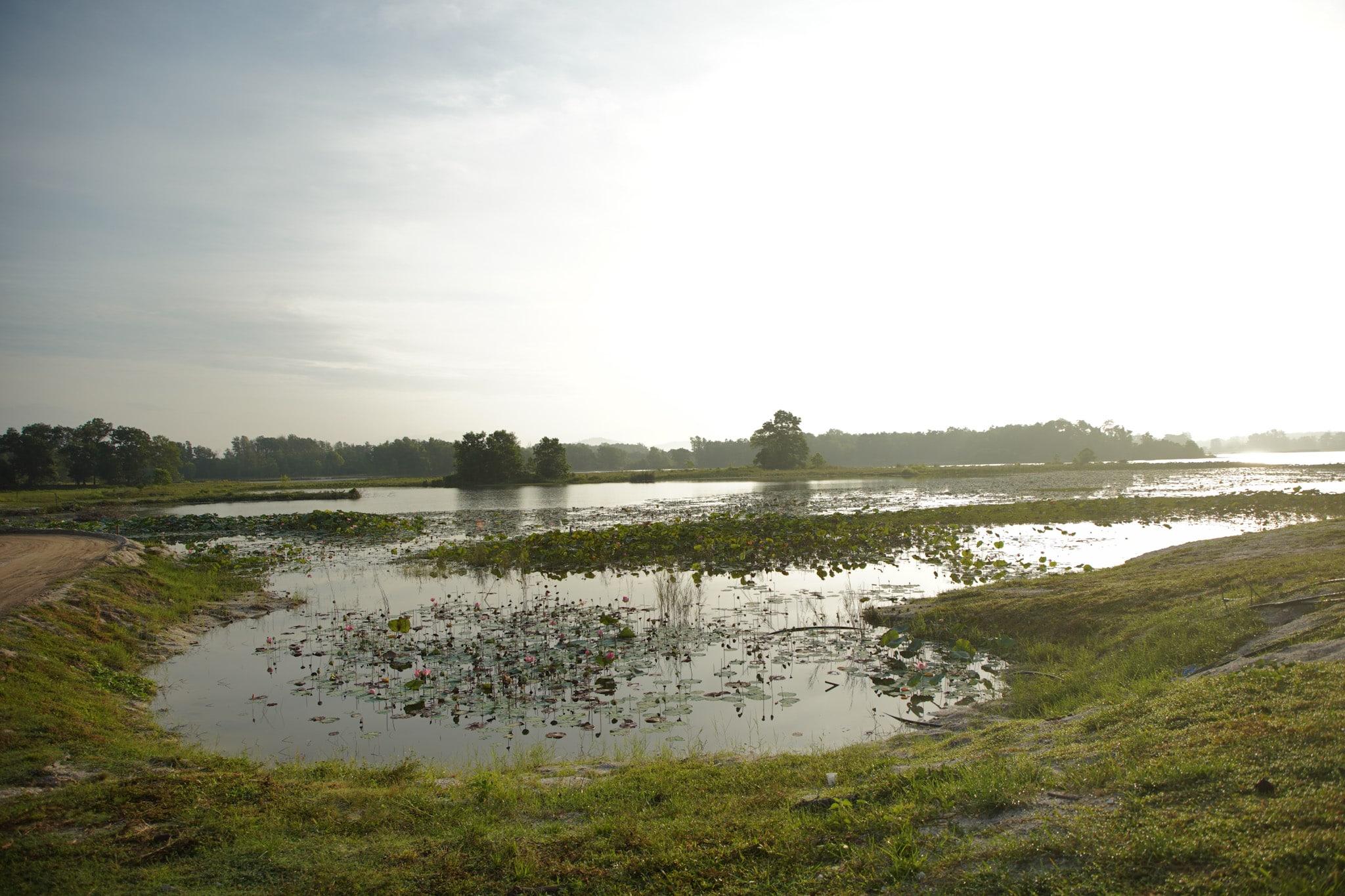 Tasik Sanktuari di Unisel dinaik taraf pusat riadah, dilengkapi CCTV