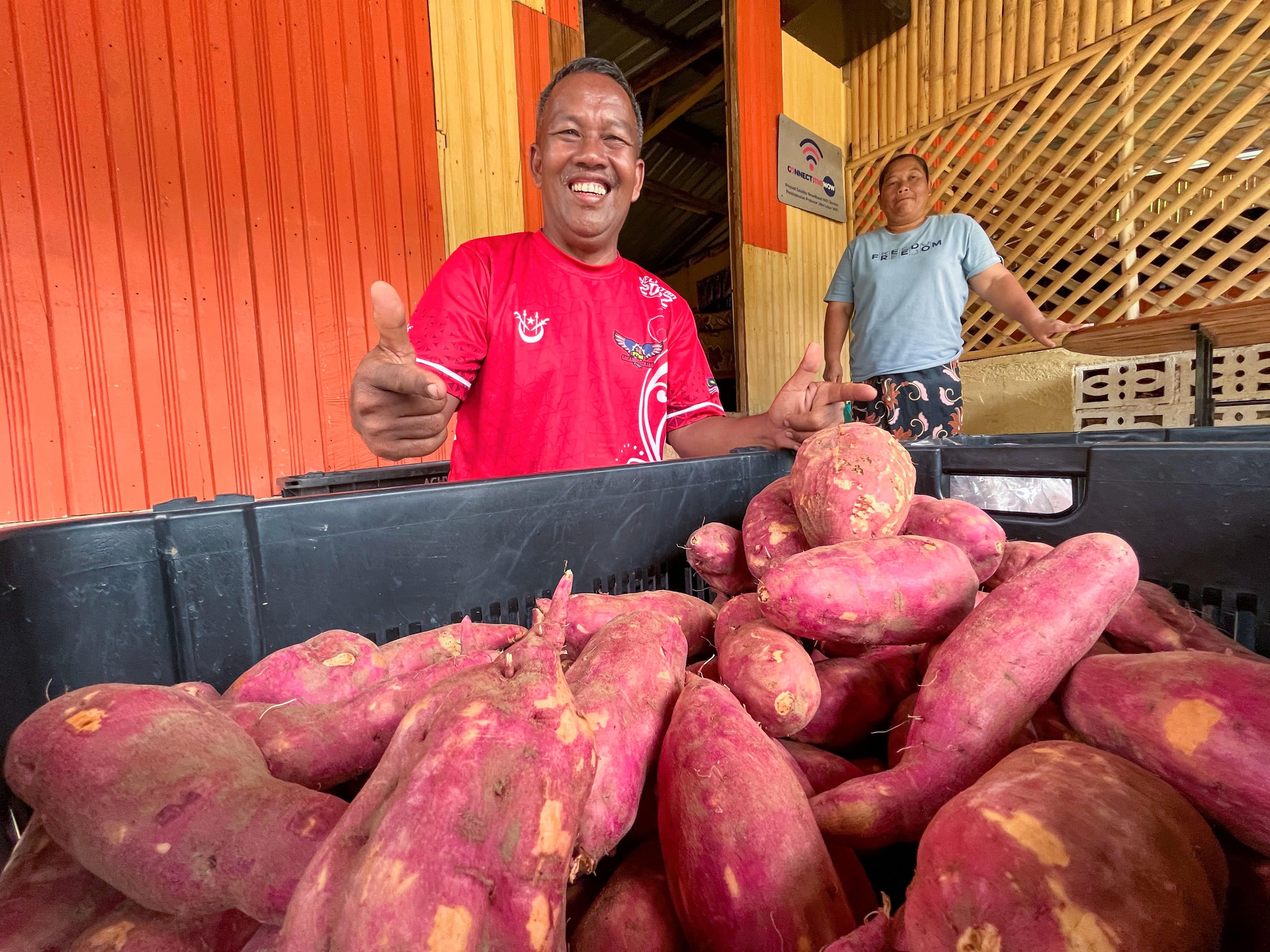Pekebun Orang Asli jual keledek guna TikTok, Facebook, raih permintaan tinggi