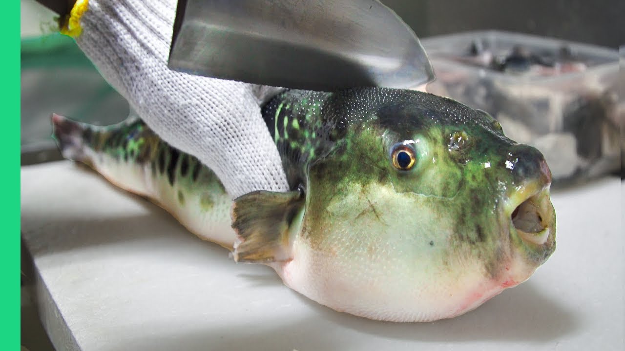 IP on puffer fish poisoning case sent to DPP in May, no response yet