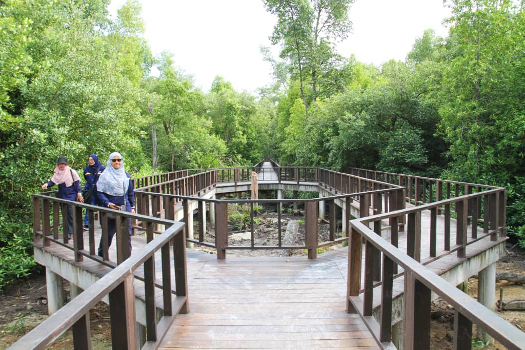 Taman Mangrove Point bakal dilengkapi jeti, bawa pengunjung telusur Sungai Klang