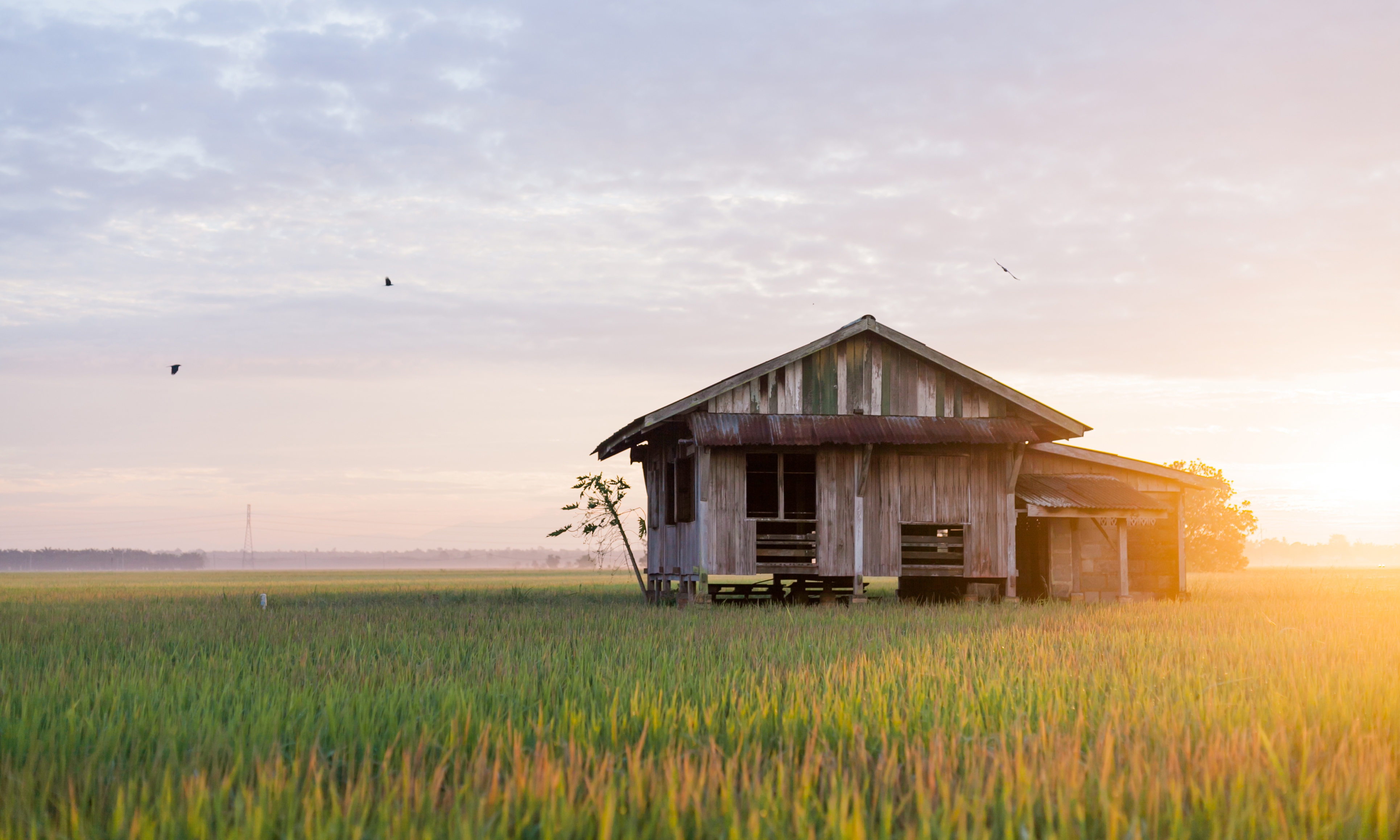 State to regularise homestays, address illegal operation on agricultural land