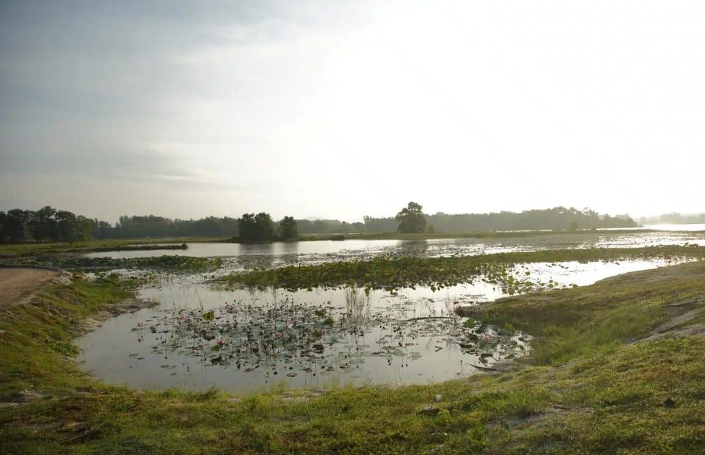 提升山杜亚里湖泊基设  打造成游客打卡点