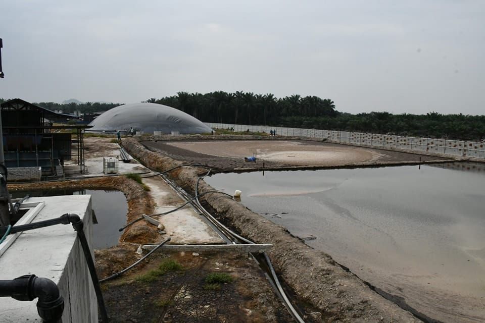 养鸡场违例营业有异味  各执法单位取缔勒令关闭