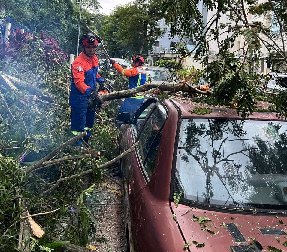 灵快速行动队快速助轿车 移走塌倒在顶部的大树