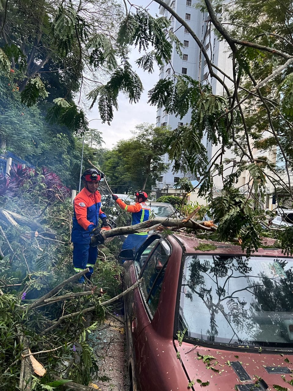 Skuad Pantas MBPJ alih pokok hempap kereta