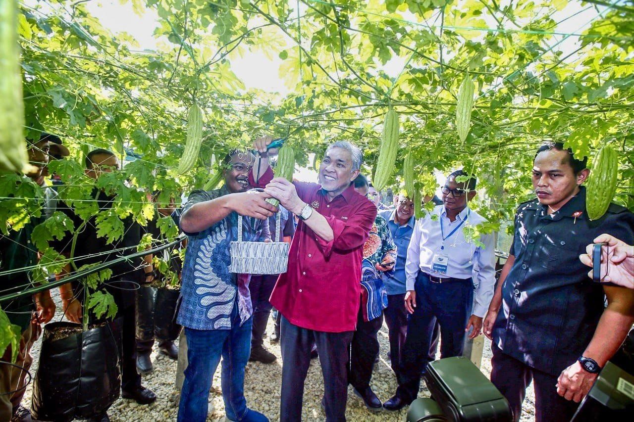 Beyond Benih community gardens to boost food security — Zahid