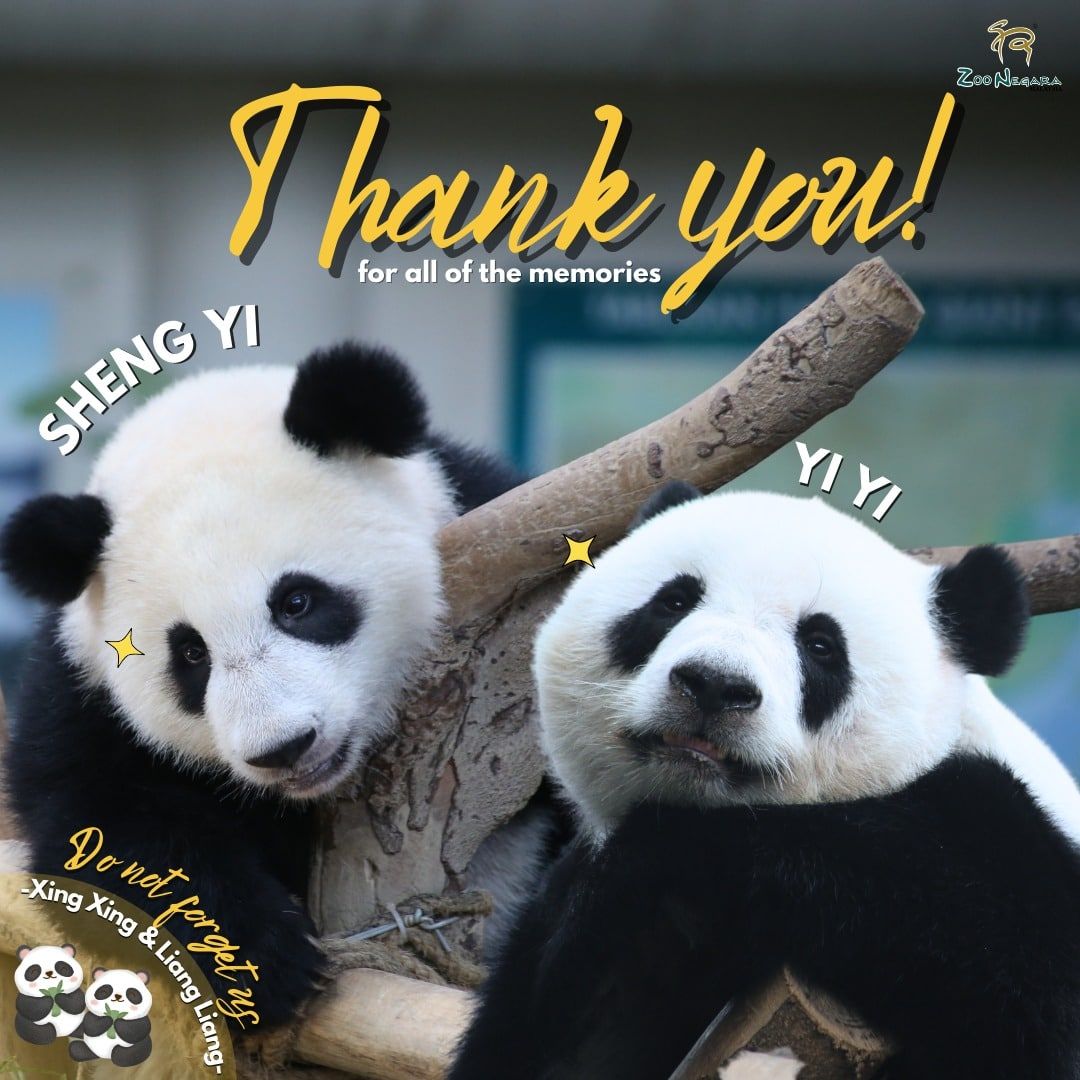 “谊谊”和“升谊”今启程返中