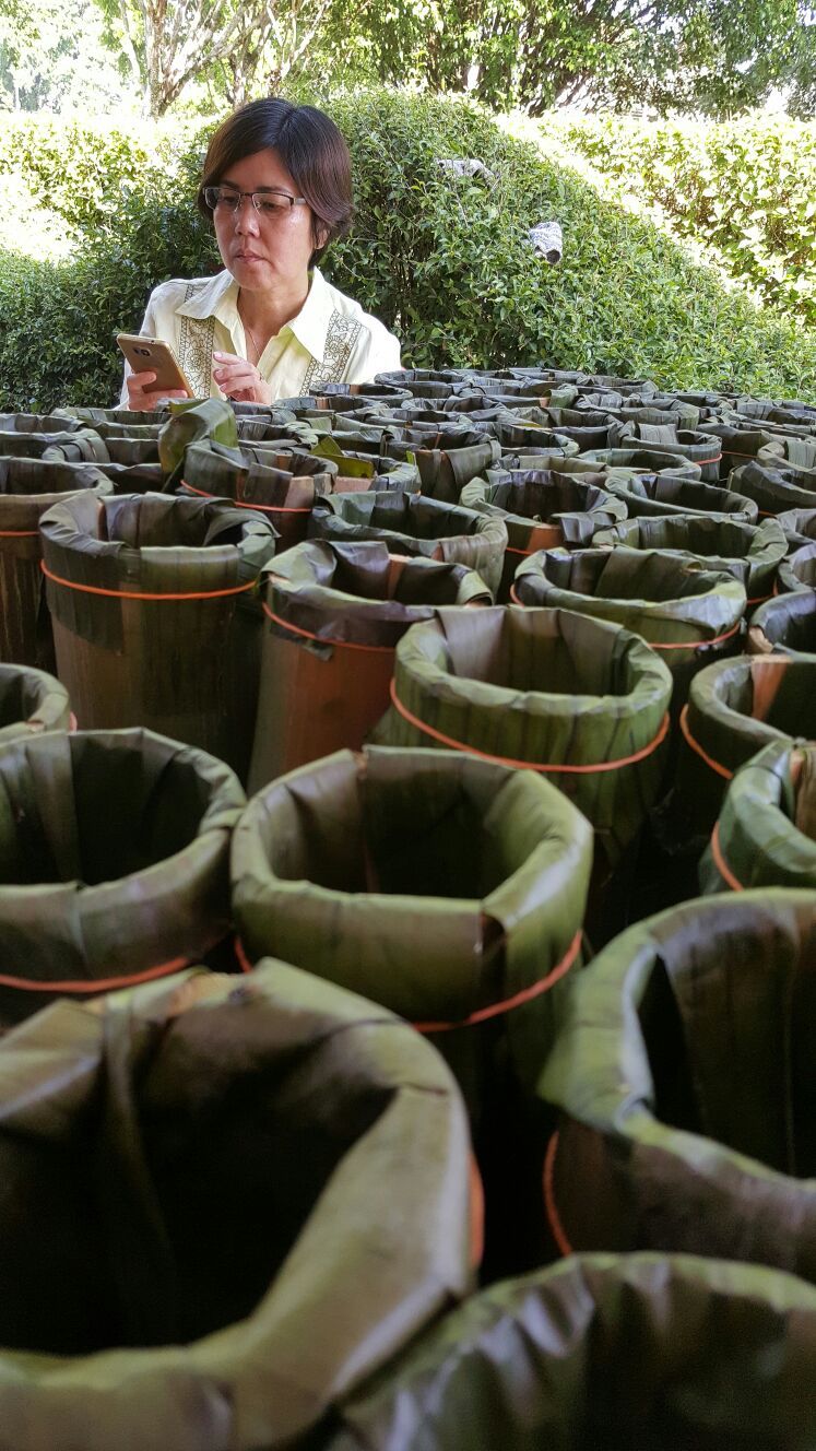 李继香与新古毛携手10年  冀同心同行铸造宝地