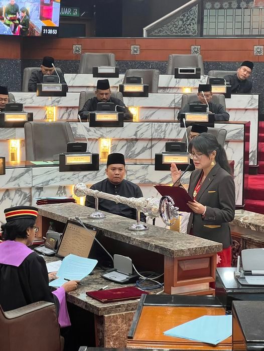 王诗棋设4支特工队 处理选区民生事务