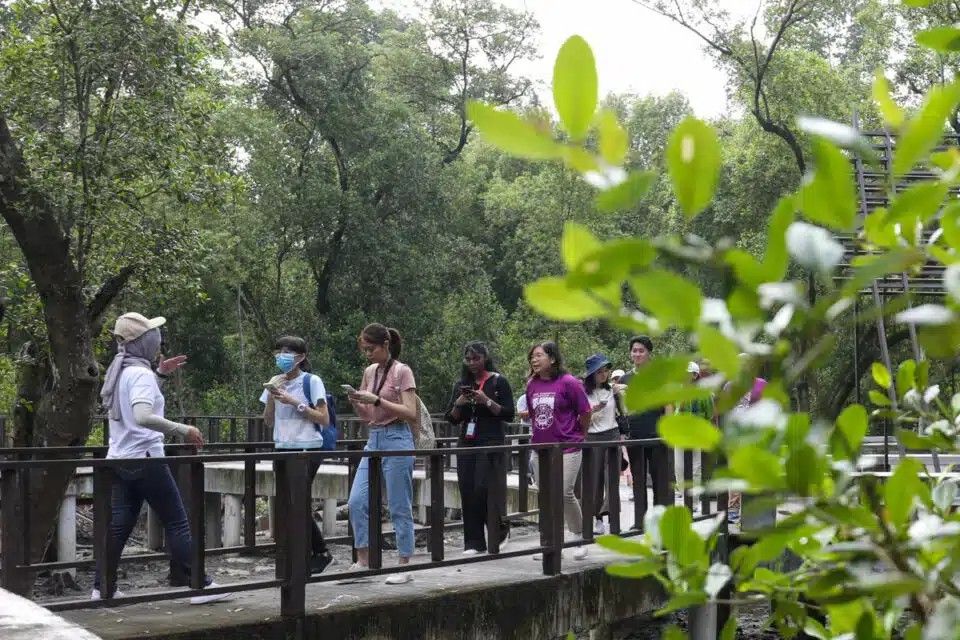 欢迎民众到巴生红树林公园 探索自然生态美景