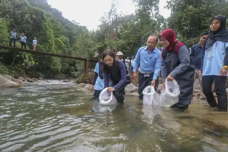 雪州拨10万进行森林研究 鉴定大自然宝藏价值