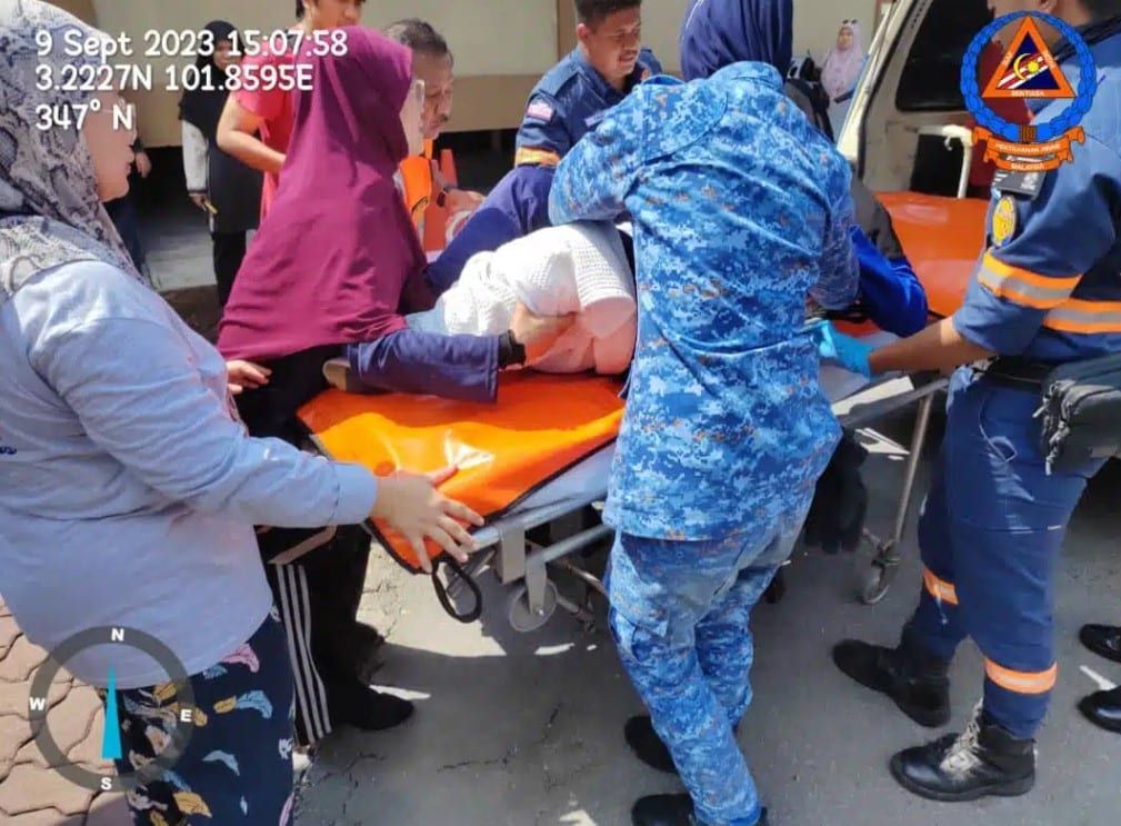 登山被黄蜂蜇伤 31师生送院就医