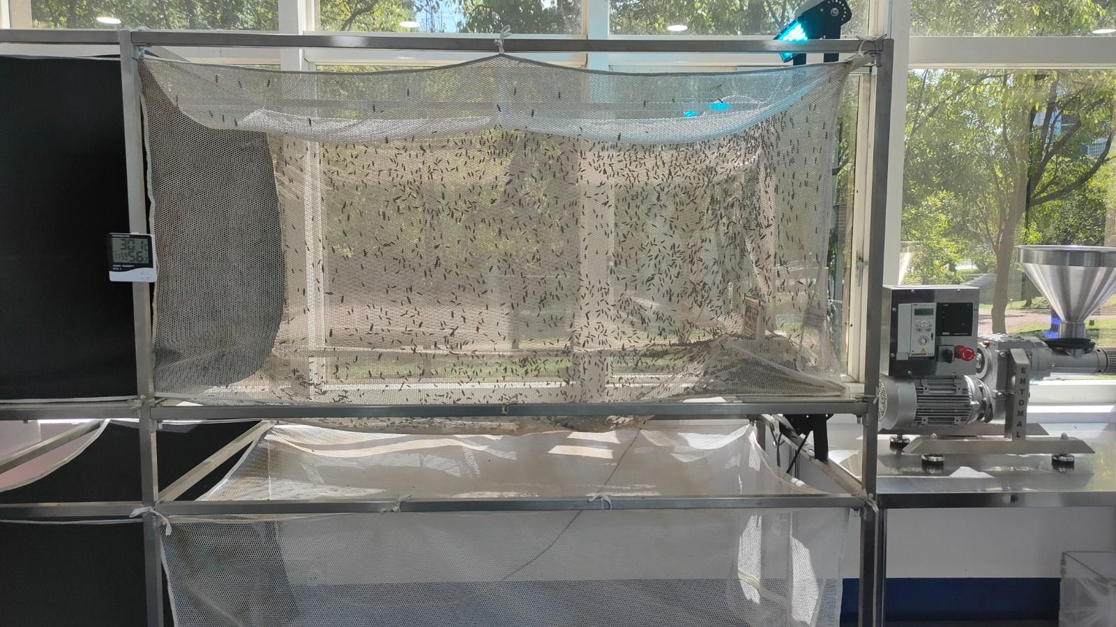 【生物科技系列3/3】黑水虻高蛋白适开发下游产品   创造循环经济粮食安全