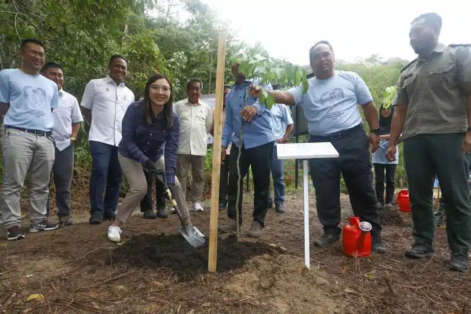 雪州积极扩大林林保留地 面积增至逾25万公顷