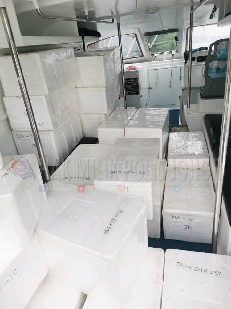 走私市值180万龙虾苗入境  警捕5本地男子助查