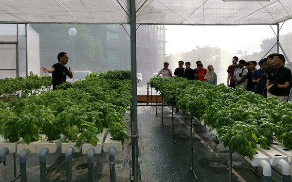 青年没钱涉足现代化农业 青团运要求放宽贷款条件