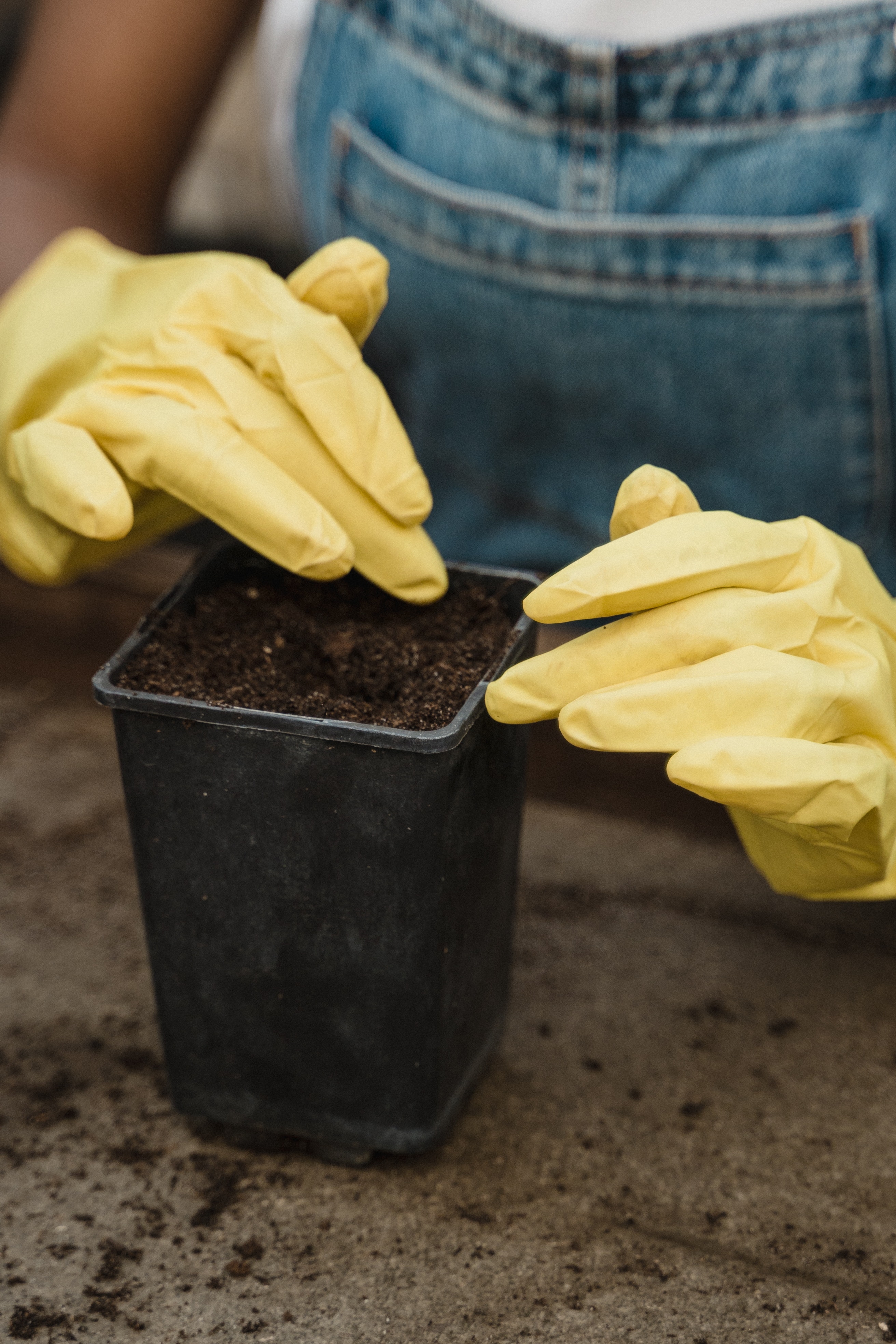 Glovemakers seek GSA revision, lower natural gas cost, export cess removal