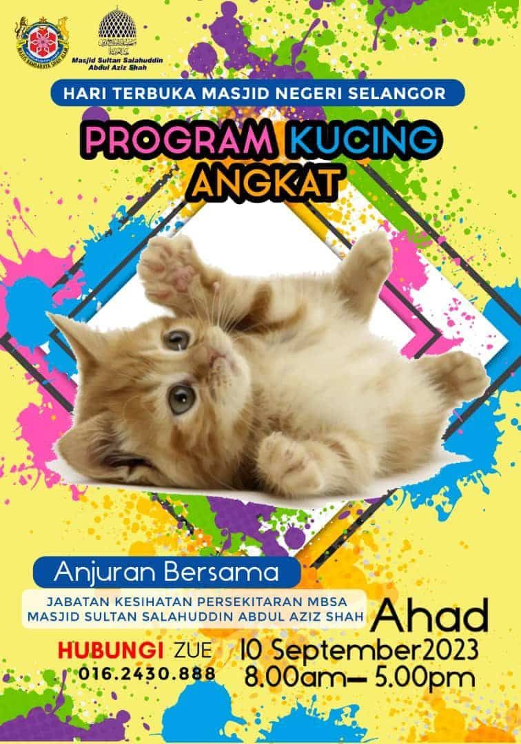 莎阿南市厅周日办猫只领养活动   鼓励民众以领养取代购买