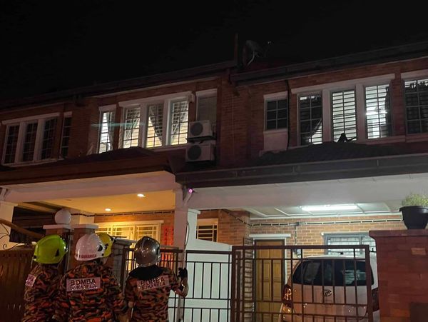 大闹社区攻击民众 野猴遭志愿消拯队捉下