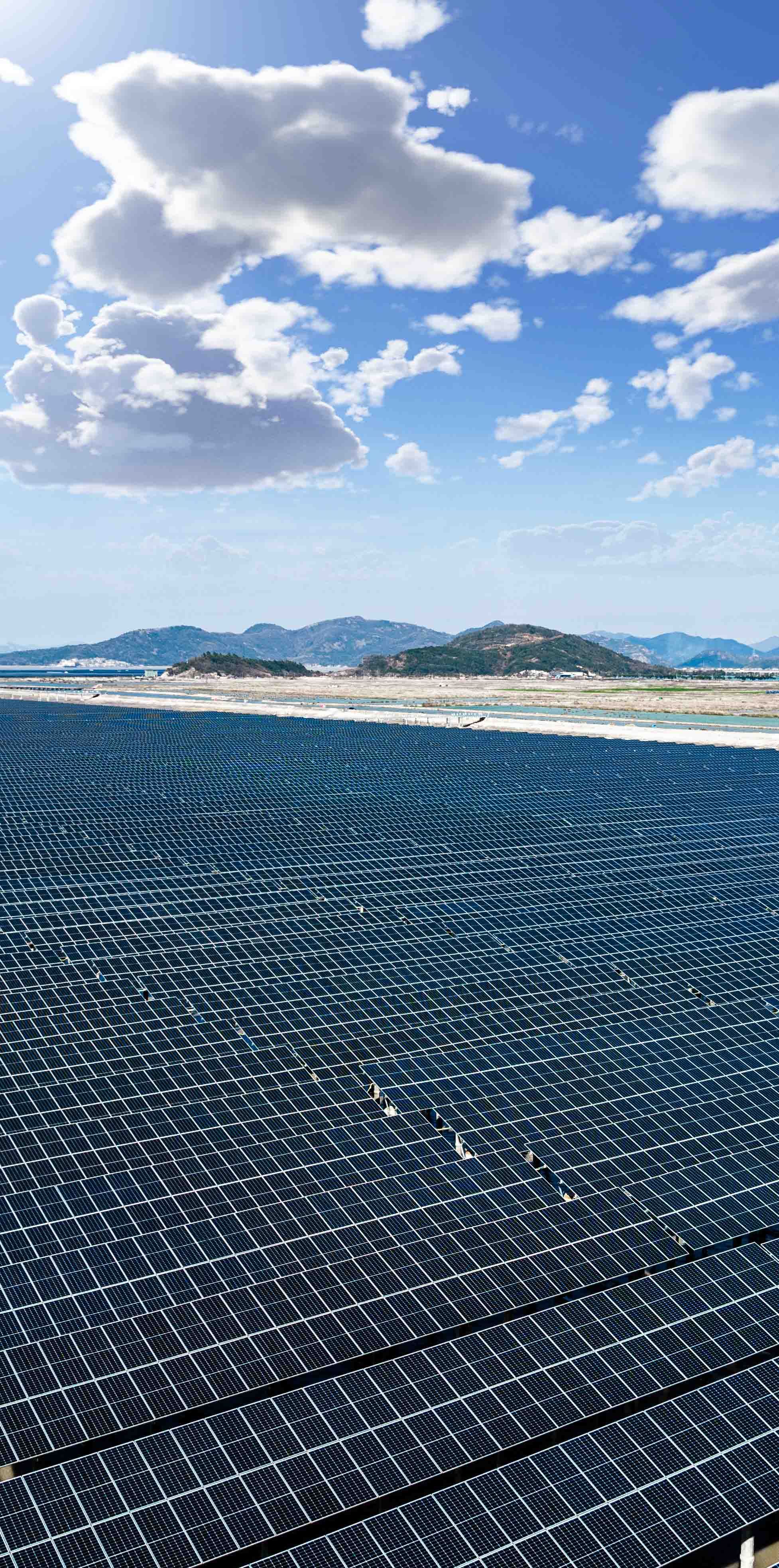 隆基绿能光伏厂料明年3月建成 扎夫鲁：发电量可达8.8千瓦兆