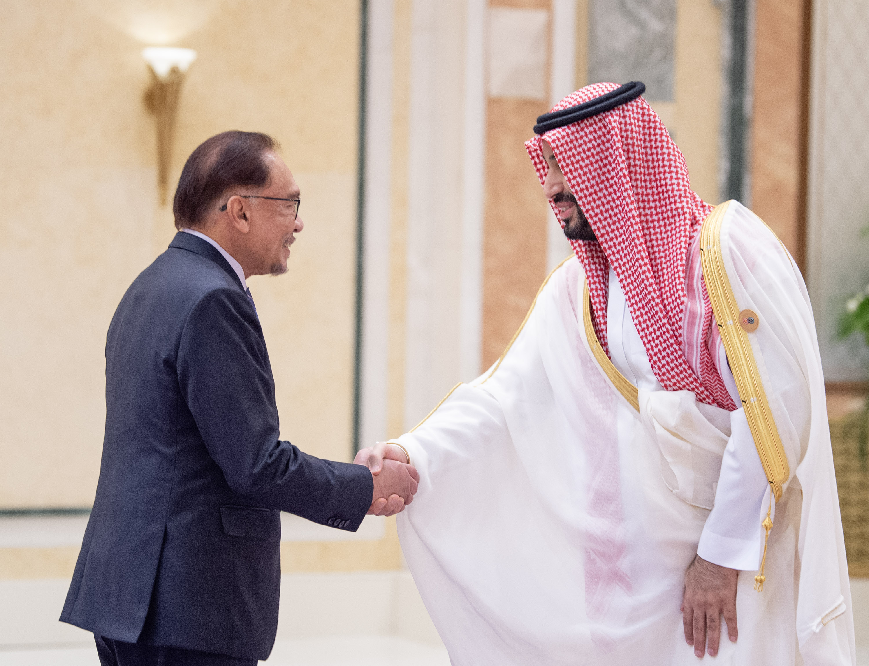 Saudi Crown Prince grants audience to PM Anwar