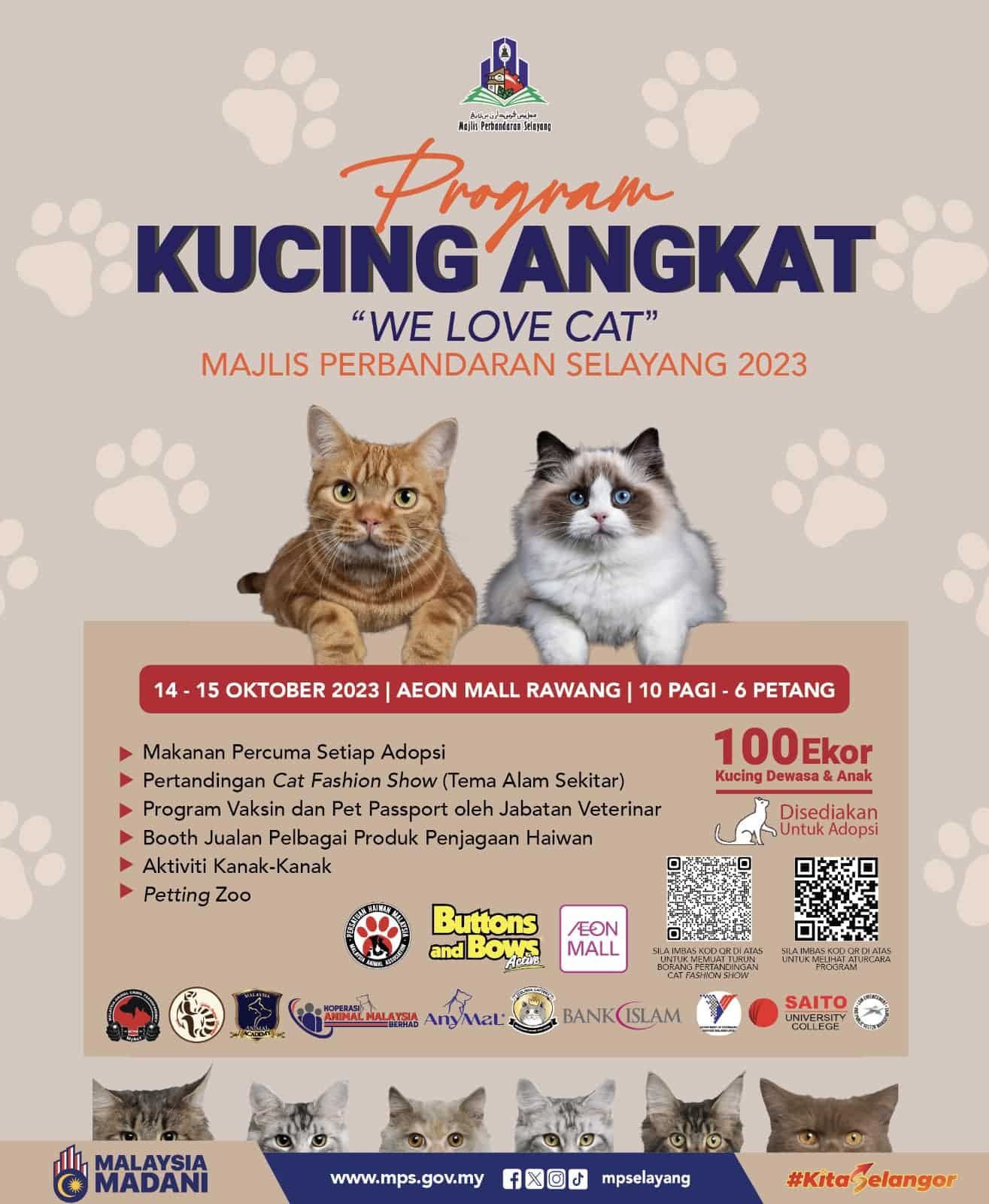 士拉央市会办领养活动 100只可爱猫咪寻新主人