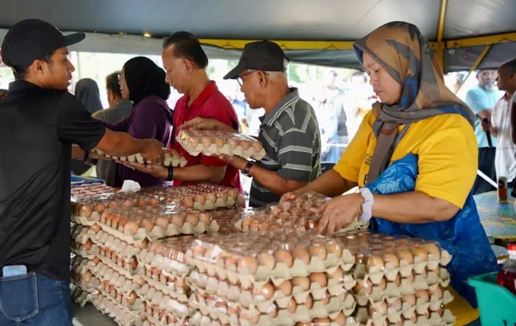 安华：即日起鸡蛋零售价降3仙