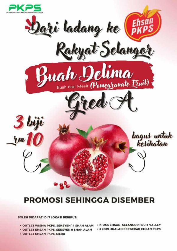 PKPS:埃及进口高营养水果 RM10可买3粒石榴促销
