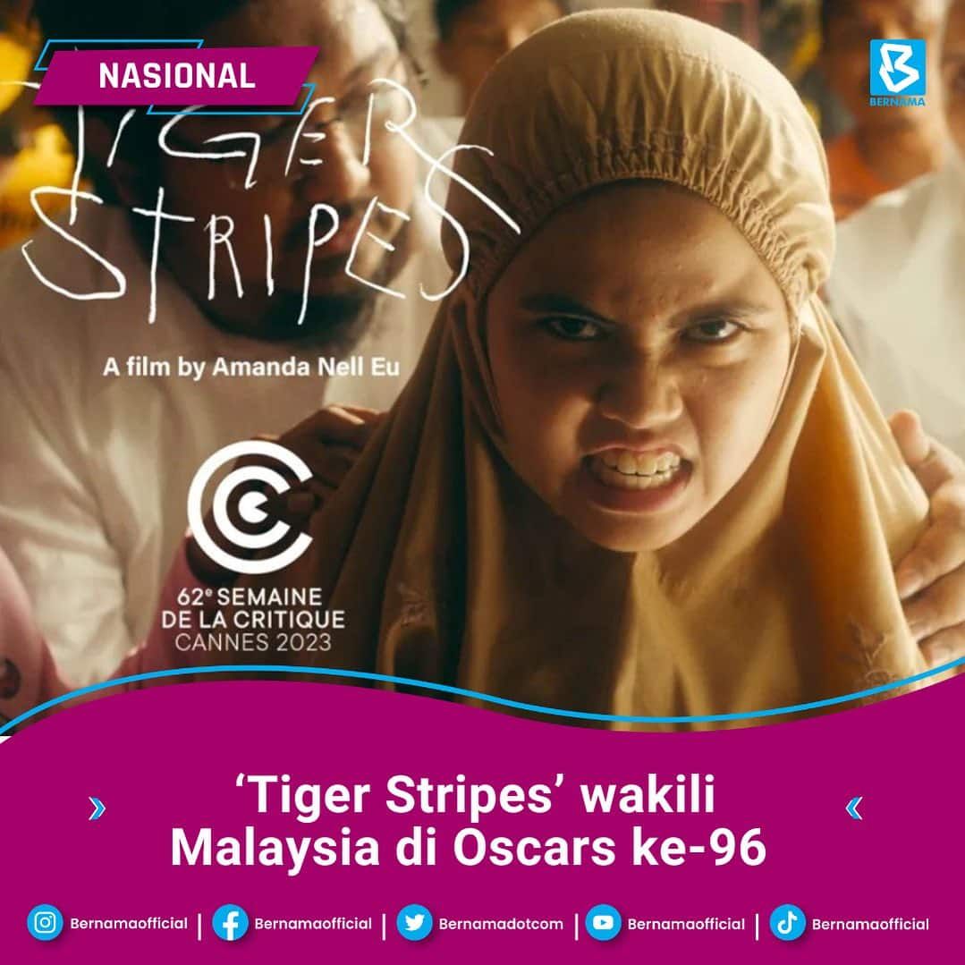 法米：《虎纹少女》代表大马角逐奥斯卡