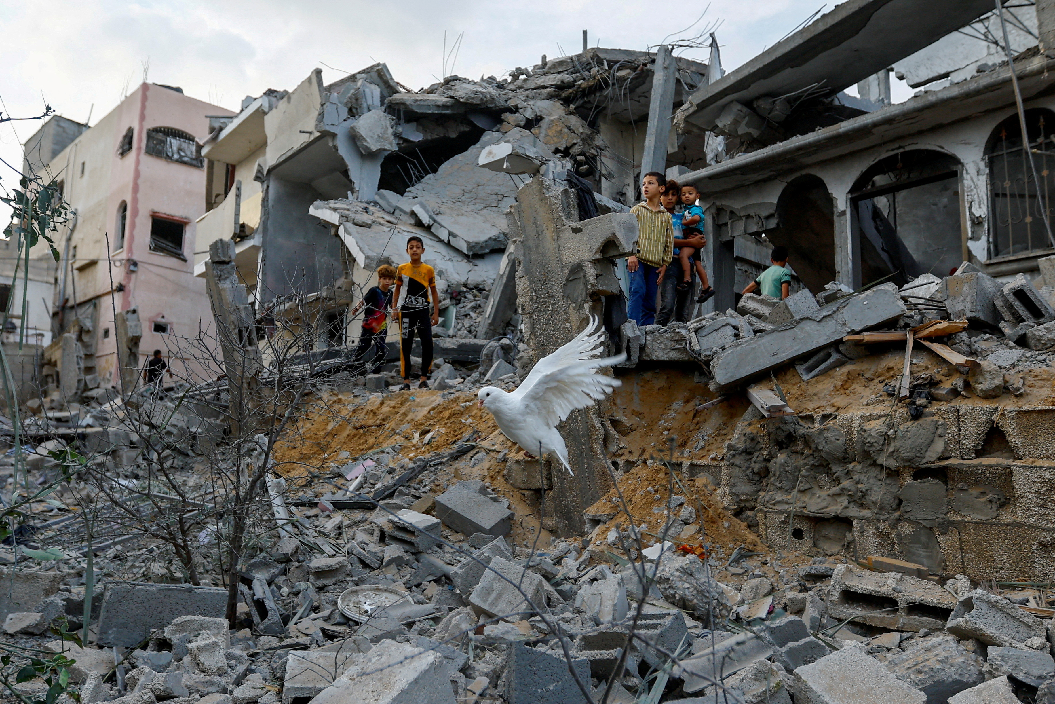 RM1 mln for Palestine as Selangor calls for greater global responsibility