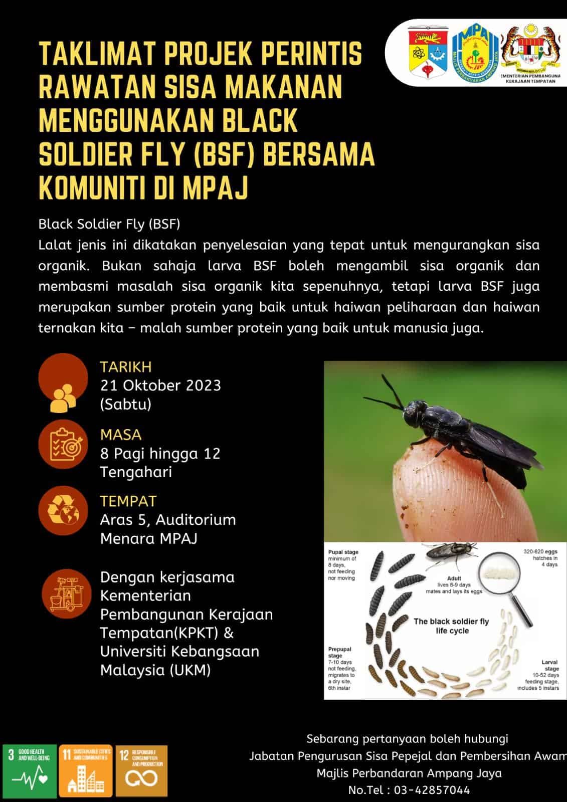 安邦再也明办黑水虻汇报会 邀有兴趣者共同妥善解决厨余