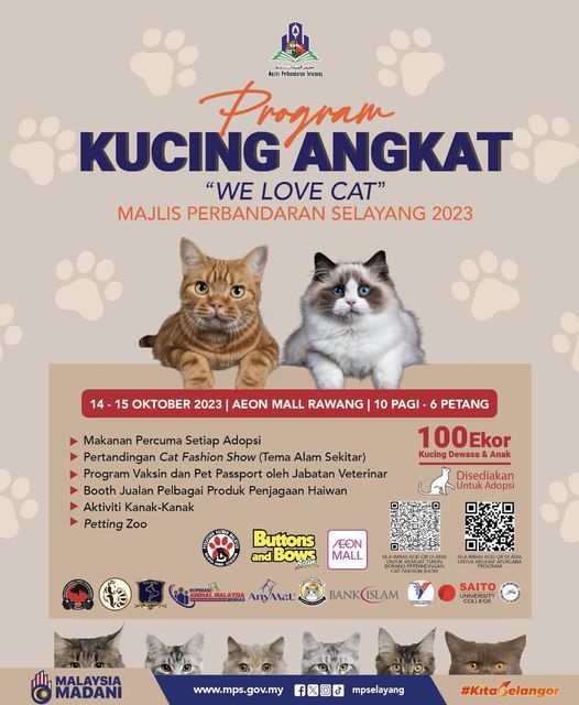 万挠区领养猫活动又来了 新主人可获免费猫食