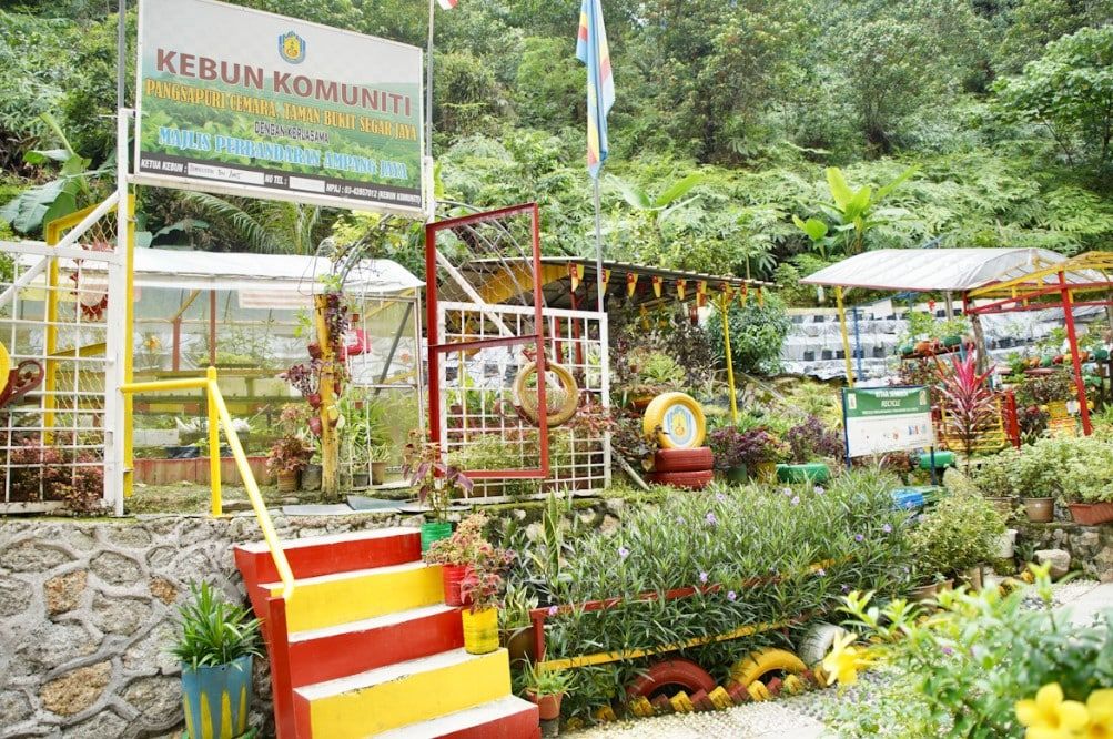 鼓励高楼住宅打造社区菜园  柏汉：生产高价值农作物