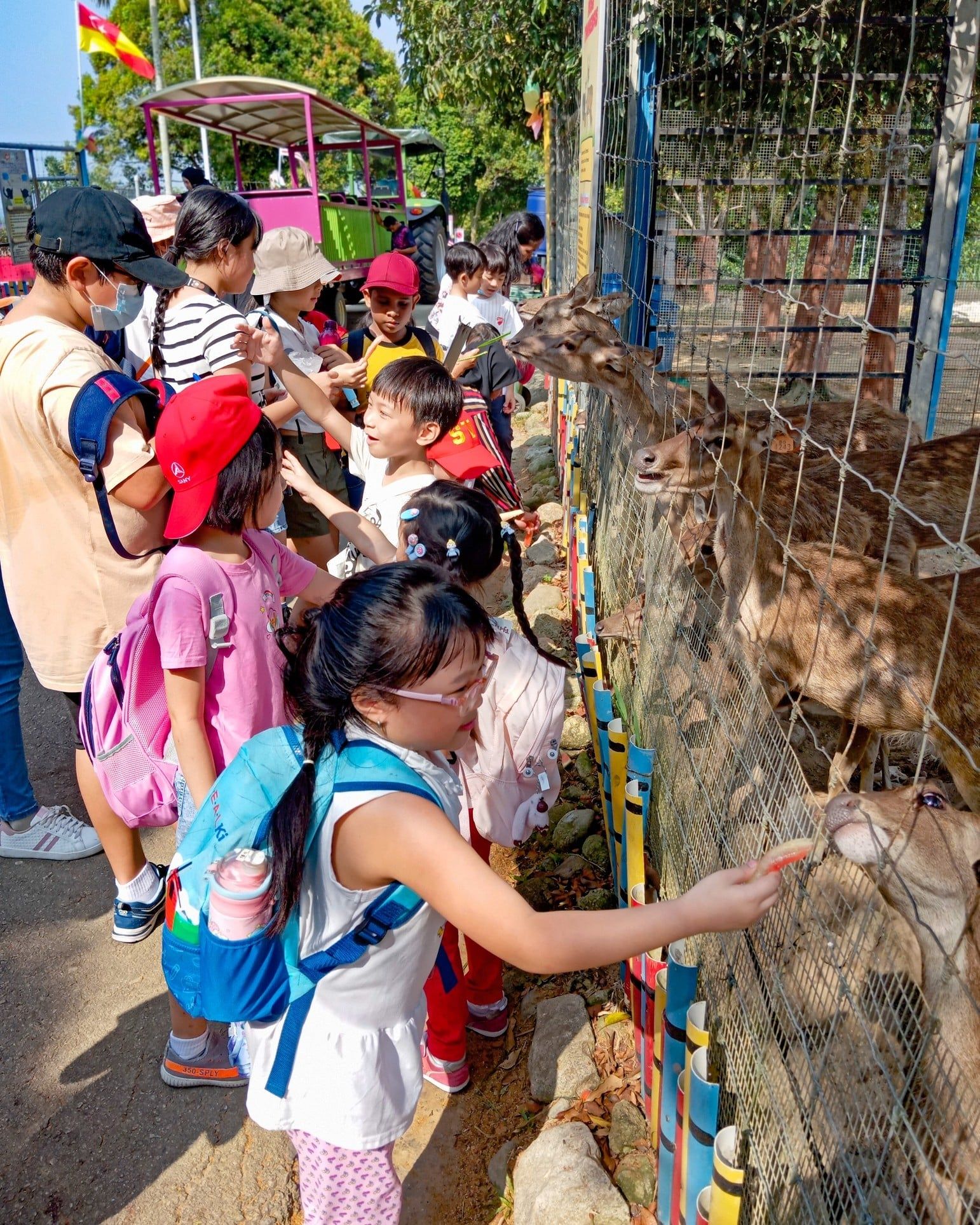 雪州水果谷本周日有舞狮表演 与小朋友体验不一样乐趣