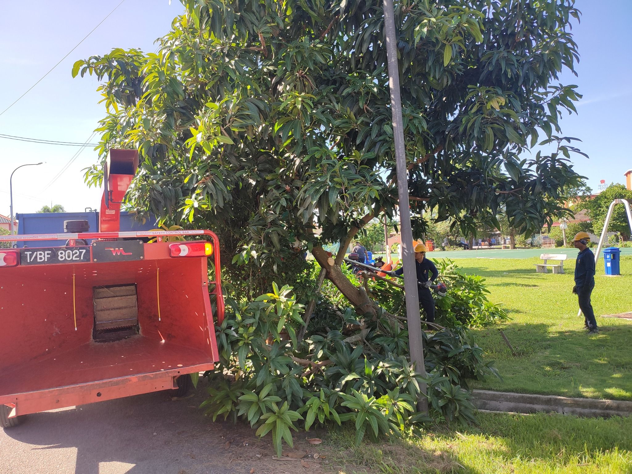 路肩草场不可种杂粮果树 执法官员拉大队清除