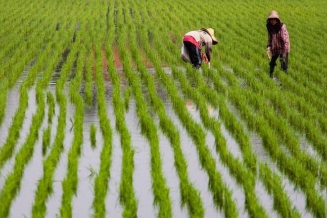 雪州兑现3大百日承诺  农民.新村人家笑呵呵给赞