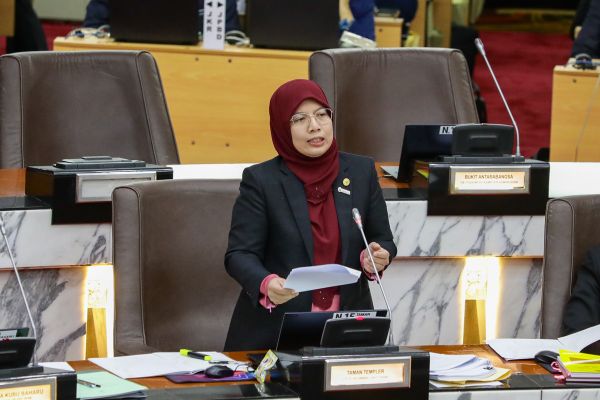 谢安宝:雪政府关注单亲妈妈福利