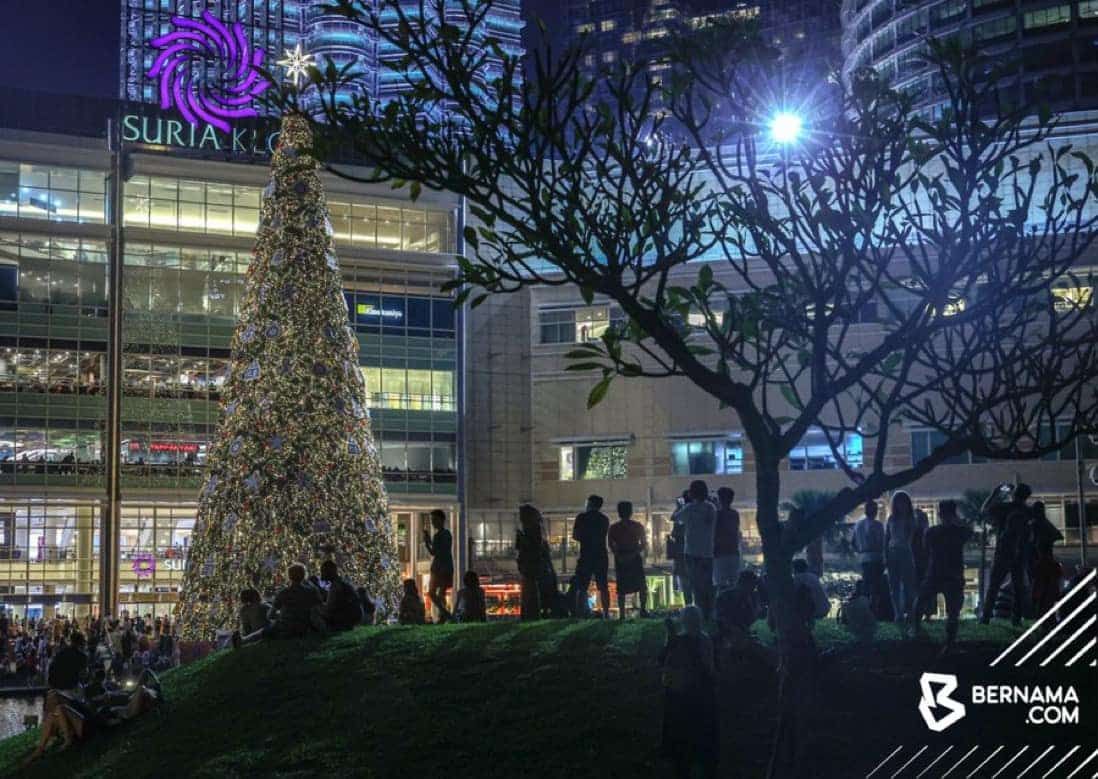 Dari oak ke pokok Krismas dan asal-usul Santa Claus