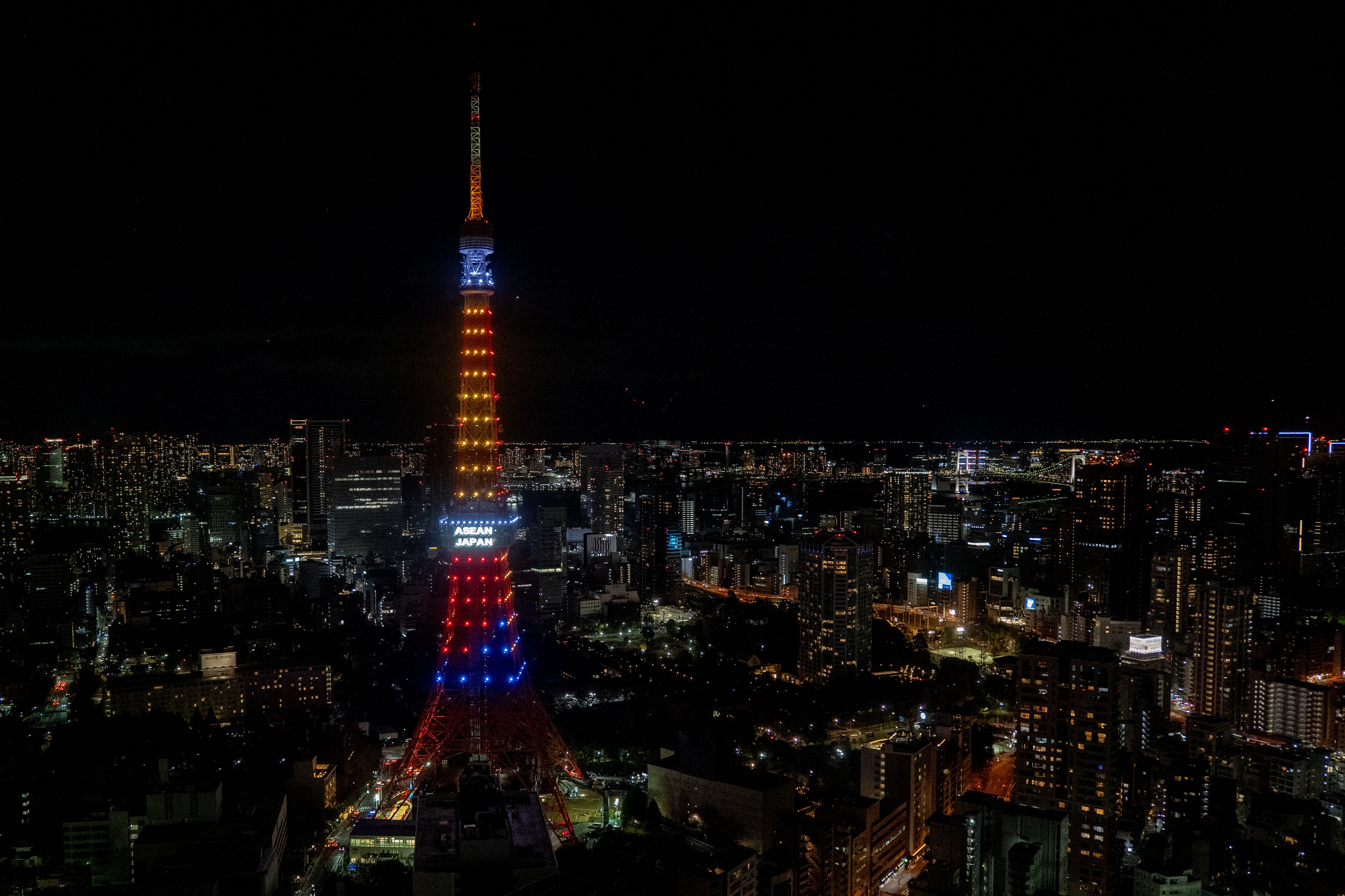 Asean-Japan Summit: Leaders urge broad Gaza aid, swift peace process