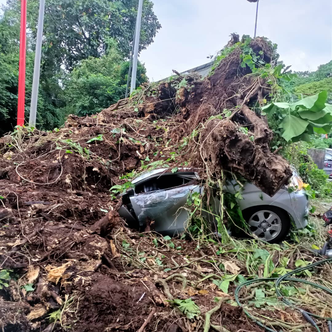 Pemandu kereta, penunggang motosikal maut kenderaan dihempap pokok tumbang