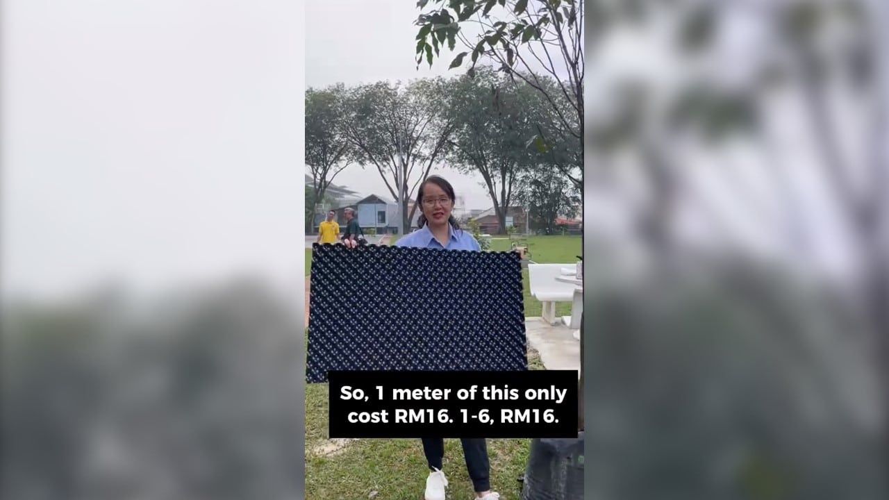 梳邦区栽新树须置树根屏障    黄美诗：保护设施省砍树费