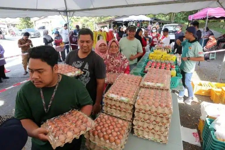 雪州今早4地点促销食材  便宜鸡.蛋.食油等供采购