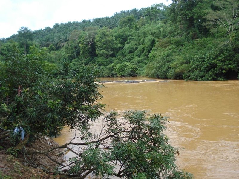 丹2河水位超过危险水平