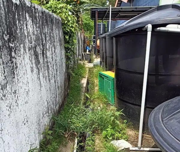 அனுமதியின்றி ஆற்று நீரைப் பயன்படுத்திய கோழி பதனீட்டு மையம் மீது நடவடிக்கை